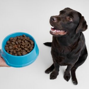 Sağlıklı Köpek Maması